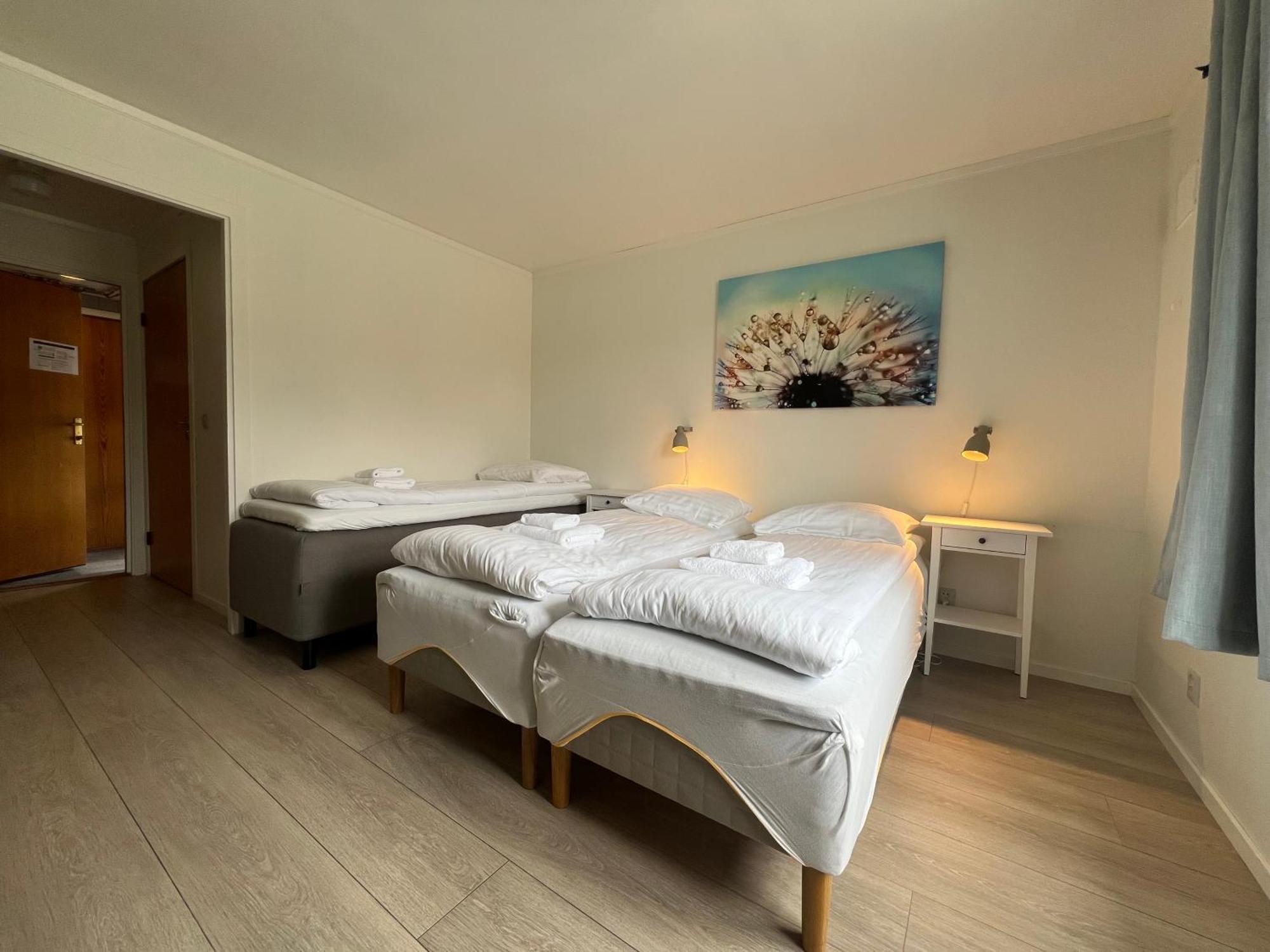 Malmplassen Bed & Breakfast Tolga Kültér fotó